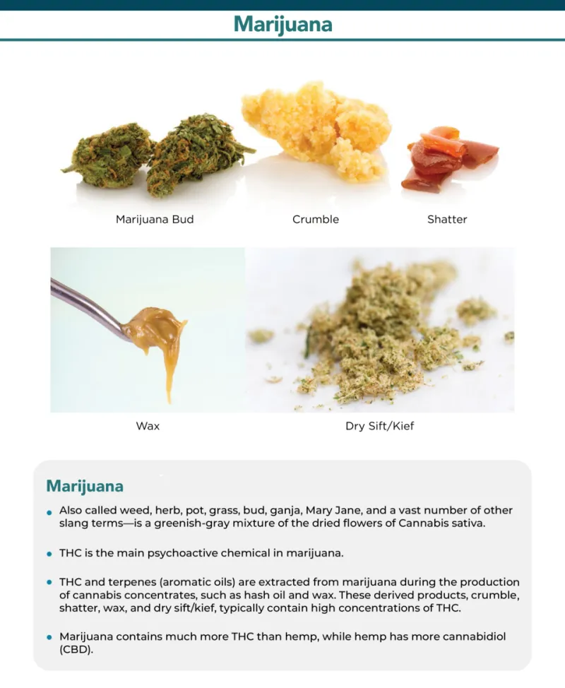 Terpenes 101: How Flavor Chemistry Actually Shapes Your Vape Experience